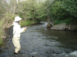 Fly Fishing in Northern New Mexico and Southern Colorado
